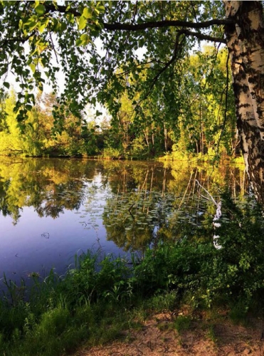 Свежесть утра, Серебряный бор